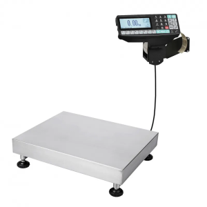 Весы товарные с печатью этикеток МАССА-К ТВ-5040N-200.2-RP1 (400х500)