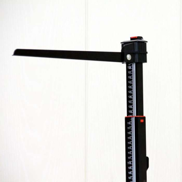 Весы МП "Здоровье" 300 ВЖА-(50/100; Р) (800х800) 07 К-Ст Весы МП "Здоровье" 300 ВЖА-(50/100; Р) (800х800) 07 К-Ст