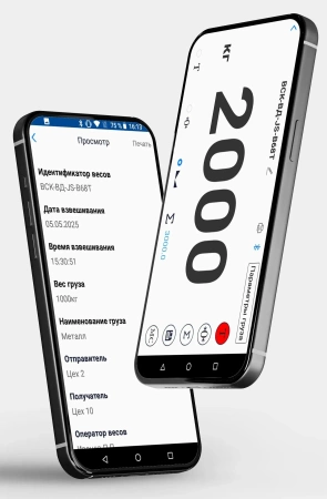 Весы крановые ВСК-10000ВД (Bluetooth)